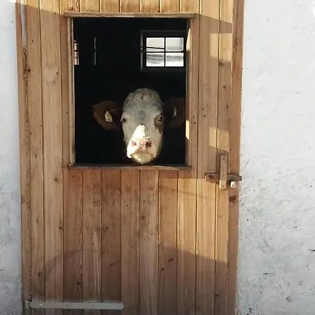 Apartament Biobauernhof Graggaber-grosseck *